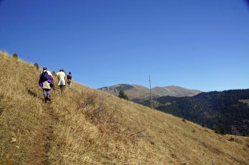 Hike