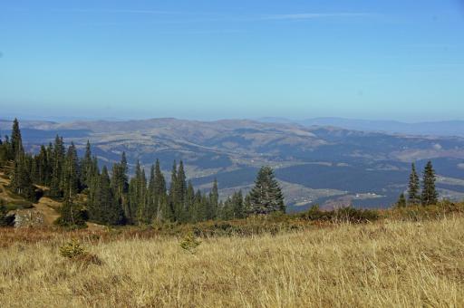 Hike