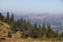 Hike