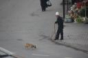 Straatbeeld 01