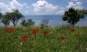 Ohrid Macedonie 319