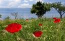 Ohrid Macedonie 323