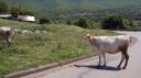 Ohrid Macedonie 328