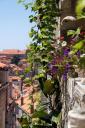 Dubrovnik 099