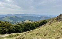 Pyreneeën