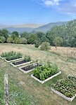 Moestuintjes