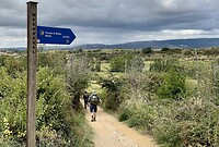 De weg