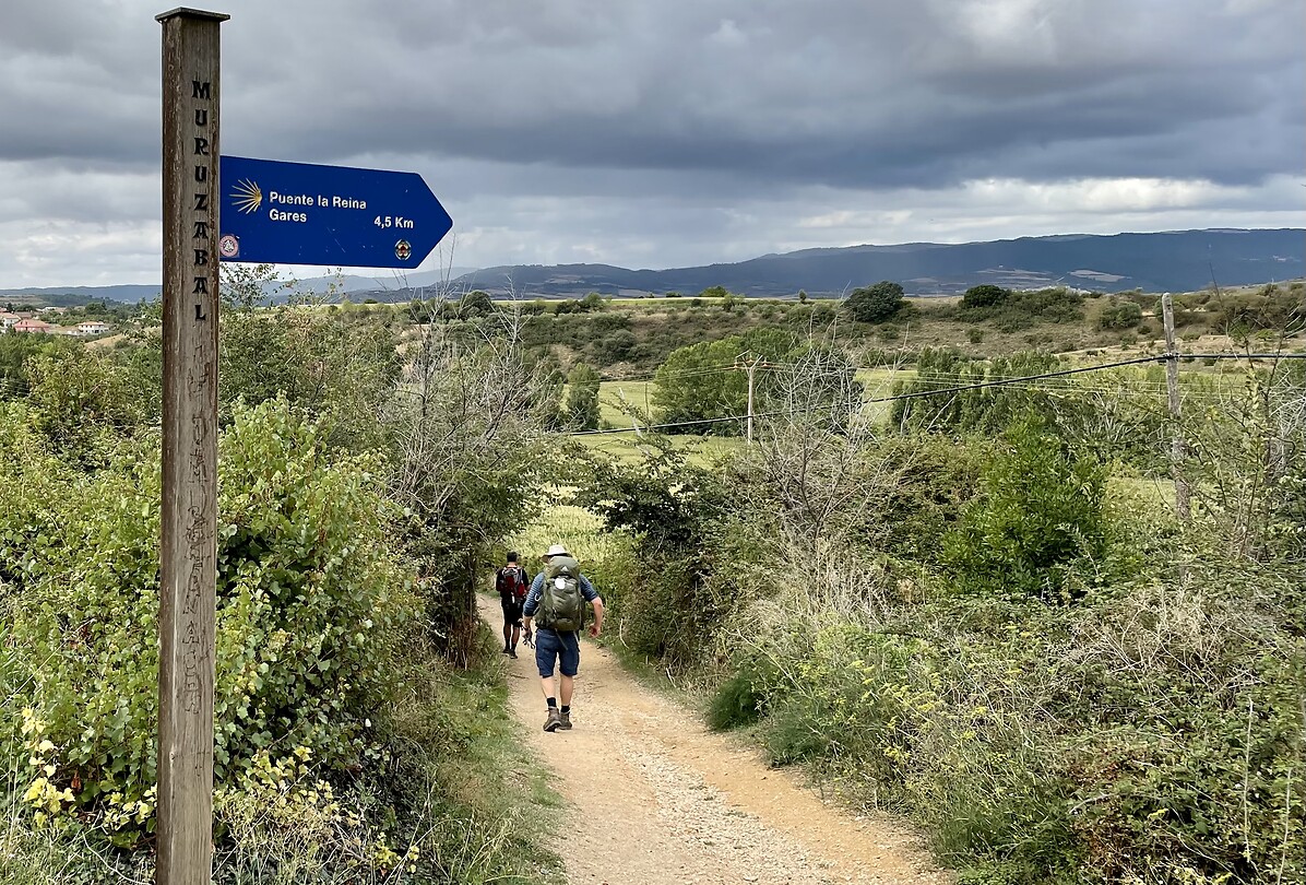 De weg