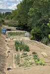 Ook hier overal mooi aangelegde moestuinen