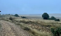In the misty morning