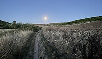 De maan 🌝 nog even in beeld