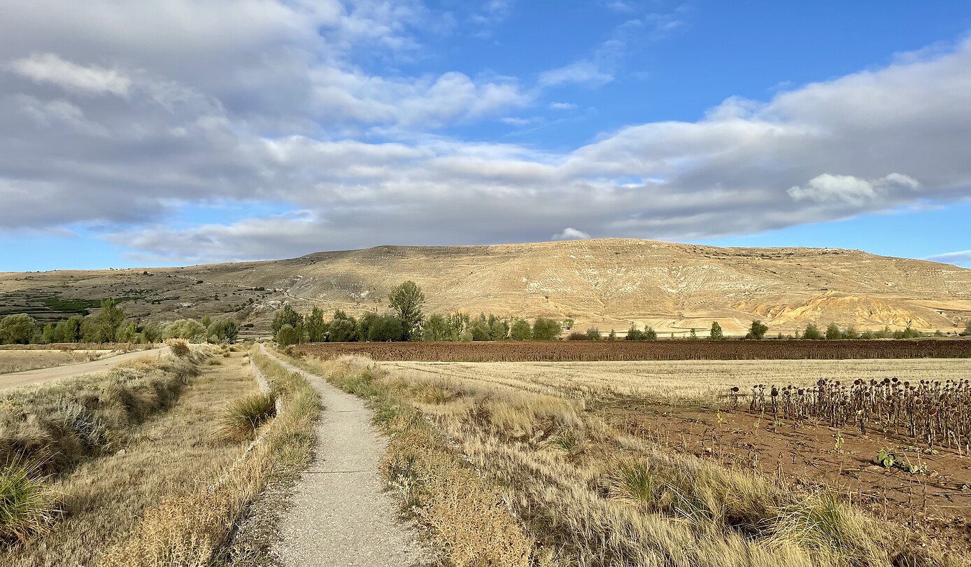 The Way