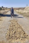 The Way
