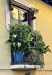 Tuintje op balkon