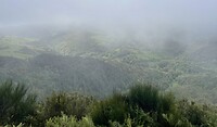 Mist en regen