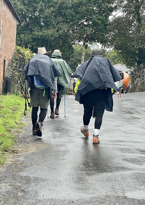 Vanwege de regen overal Karbonkels