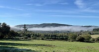 Mist