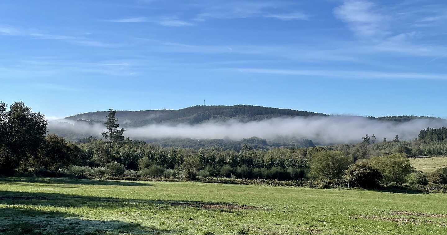 Mist