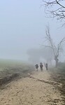 Onderweg in de mist