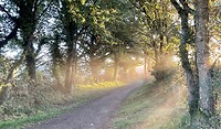 Sunrise