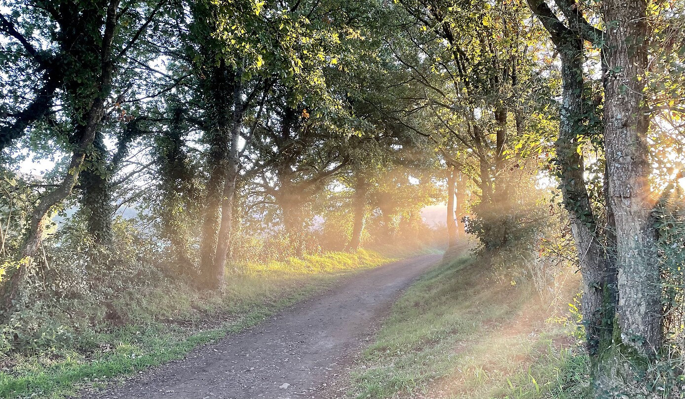 Sunrise