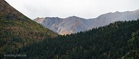 DSC_5463