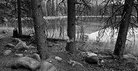 DSC_5527 bever boom 2