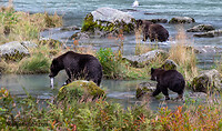 Beren