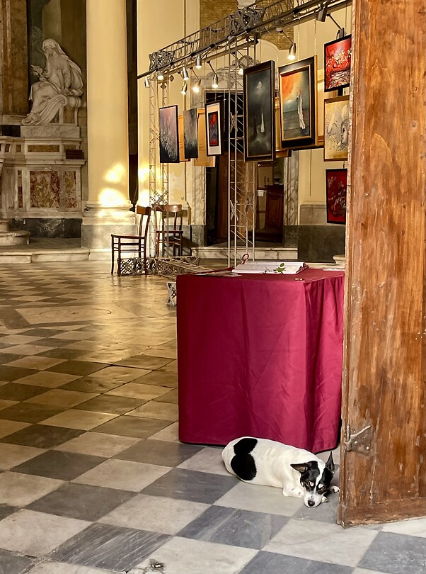 Hondje 🐶 ingang museum
