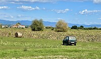Fiat Panda ‘alone’