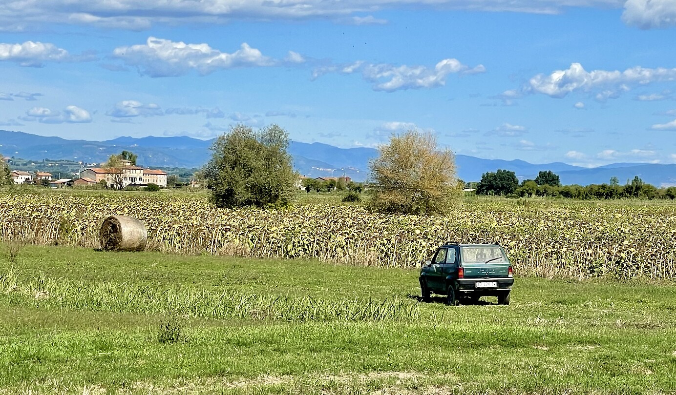 Fiat Panda ‘alone’