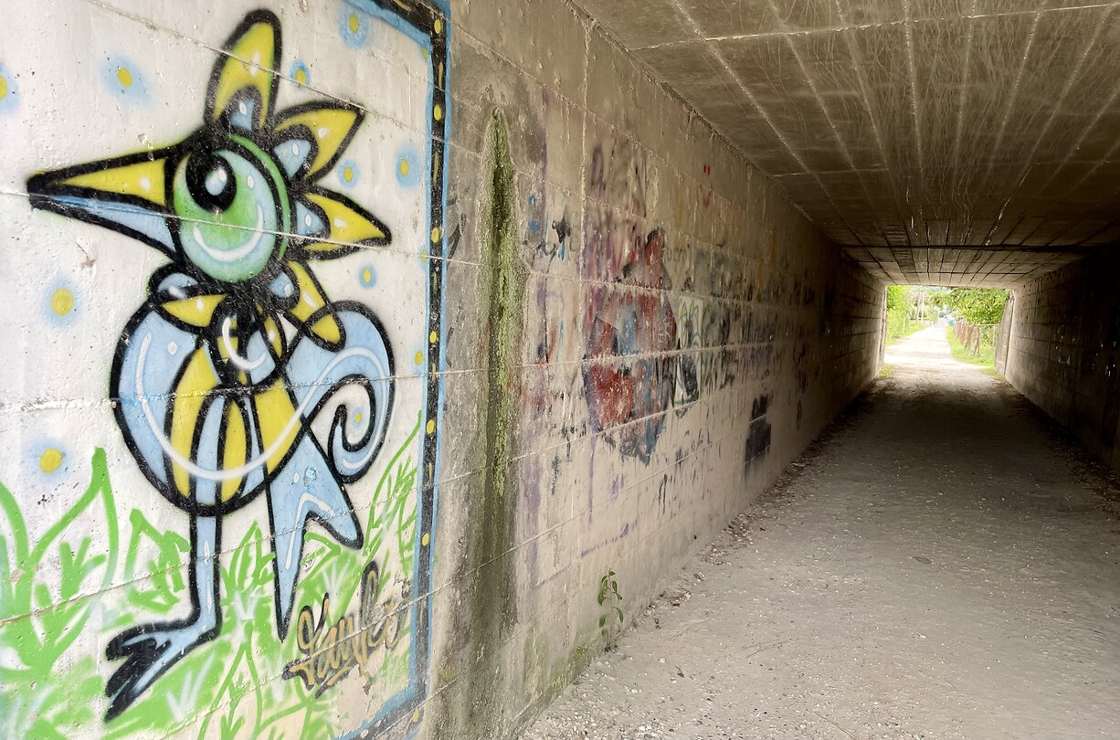 Graffiti tunnel