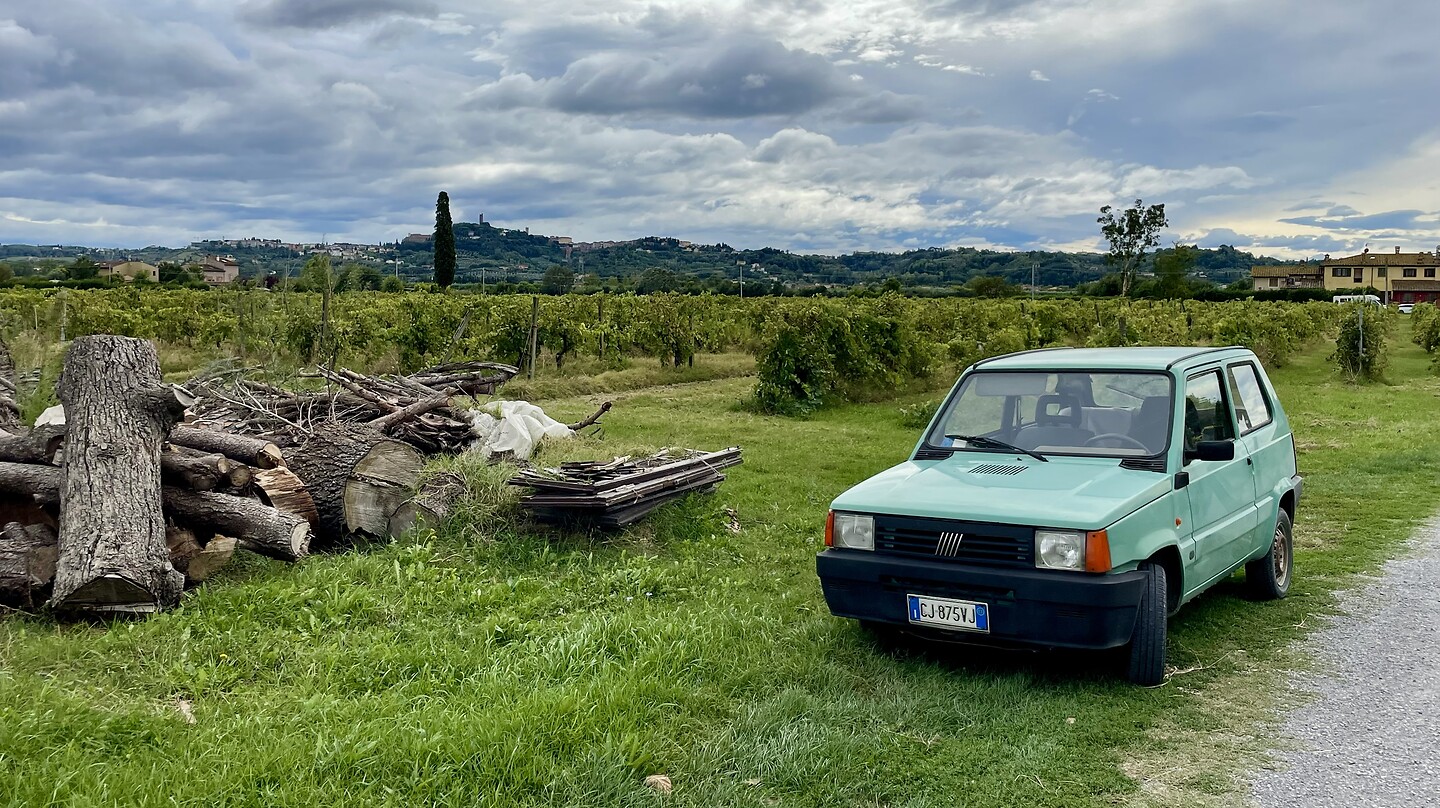 Panda green