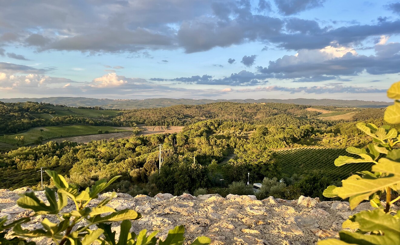 Vanaf de muur Monteriggioni