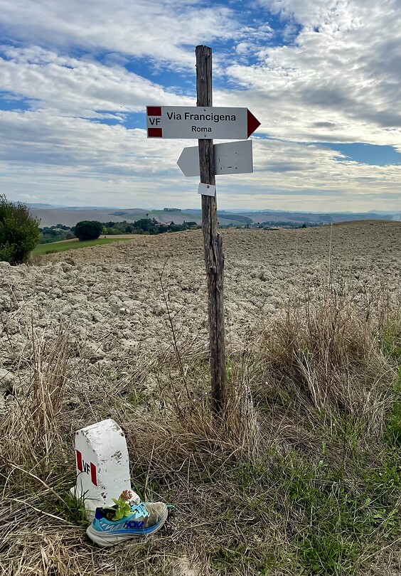 Onderweg P d’Arbia