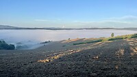 IMG_1763