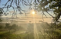 IMG_1765