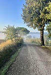 IMG_1766