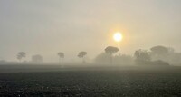 IMG_1769