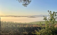 IMG_1768