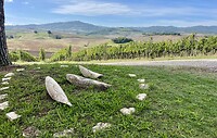 IMG_1778