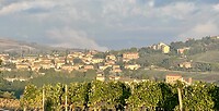 IMG_1812