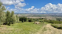 IMG_1836