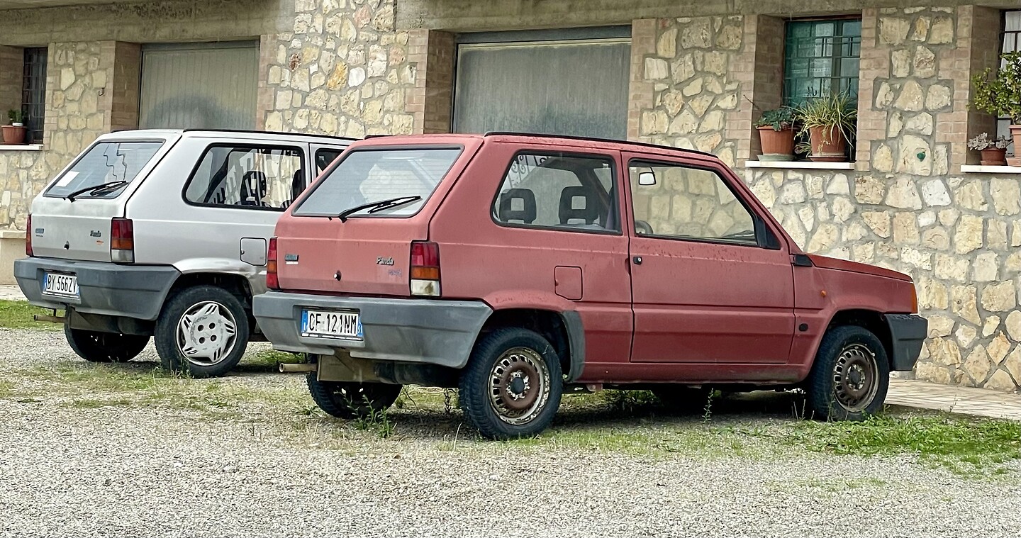Panda