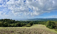 IMG_1985