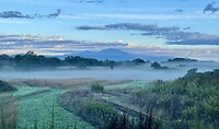 IMG_1978