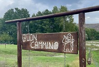IMG_1953