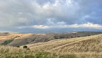 IMG_1950