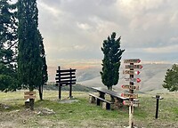 IMG_1949