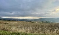 IMG_1948